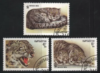 3Pcs/Set Kirgizija Pašto Antspaudų, 1994, Leopardas, Pažymėtos Pašto Ženklų Kolekcionavimas Nuotrauka 0