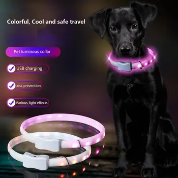 LED Šunų Antkaklis atsparus Vandeniui Cuttable Šviesą Šunų Antkakliai Įkrovimo Išjungti Kelių Spalvų Švytėjimas Saugos Karoliai Šunų Antkaklis Švyti Nuotrauka 0