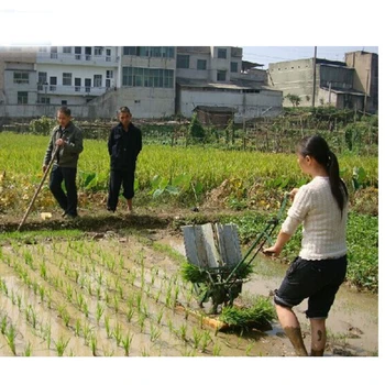 rankinis žaliavinių ryžių sėklos transplanter sodinimo mašina