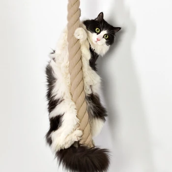 Juokingi Kačių Žaislai Naminių Kačių Scratchers Katė Medžio atsparaus Storo Kanapės Virvę Kačiukas Braižymo Laipiojimo Žaislų Ir Medienos Platforma Šokinėja Nuotrauka 1