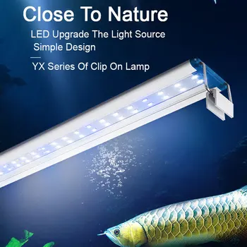 Akvariumas LED Šviesos Super Slim Žuvų Bakas Vandens Augalų Auga Apšvietimo Vandeniui Šviesus Įrašą Mėlyna LED Lempos Augalams 90-260V Nuotrauka 2