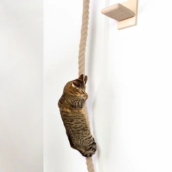 Juokingi Kačių Žaislai Naminių Kačių Scratchers Katė Medžio atsparaus Storo Kanapės Virvę Kačiukas Braižymo Laipiojimo Žaislų Ir Medienos Platforma Šokinėja Nuotrauka 3